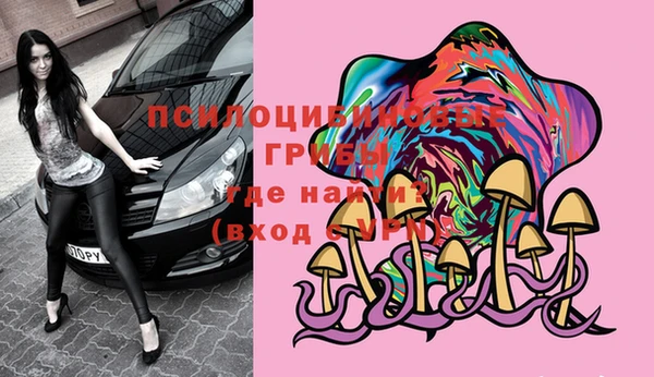дживик Алексин