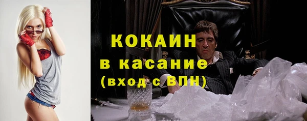 прущие грибы Абинск