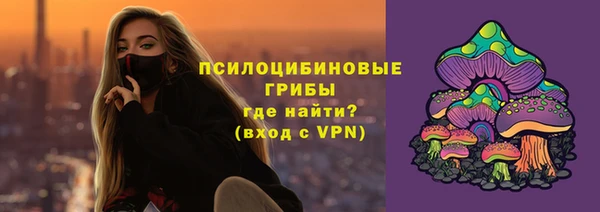твердый Абаза