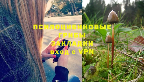 Альфа ПВП Алексеевка